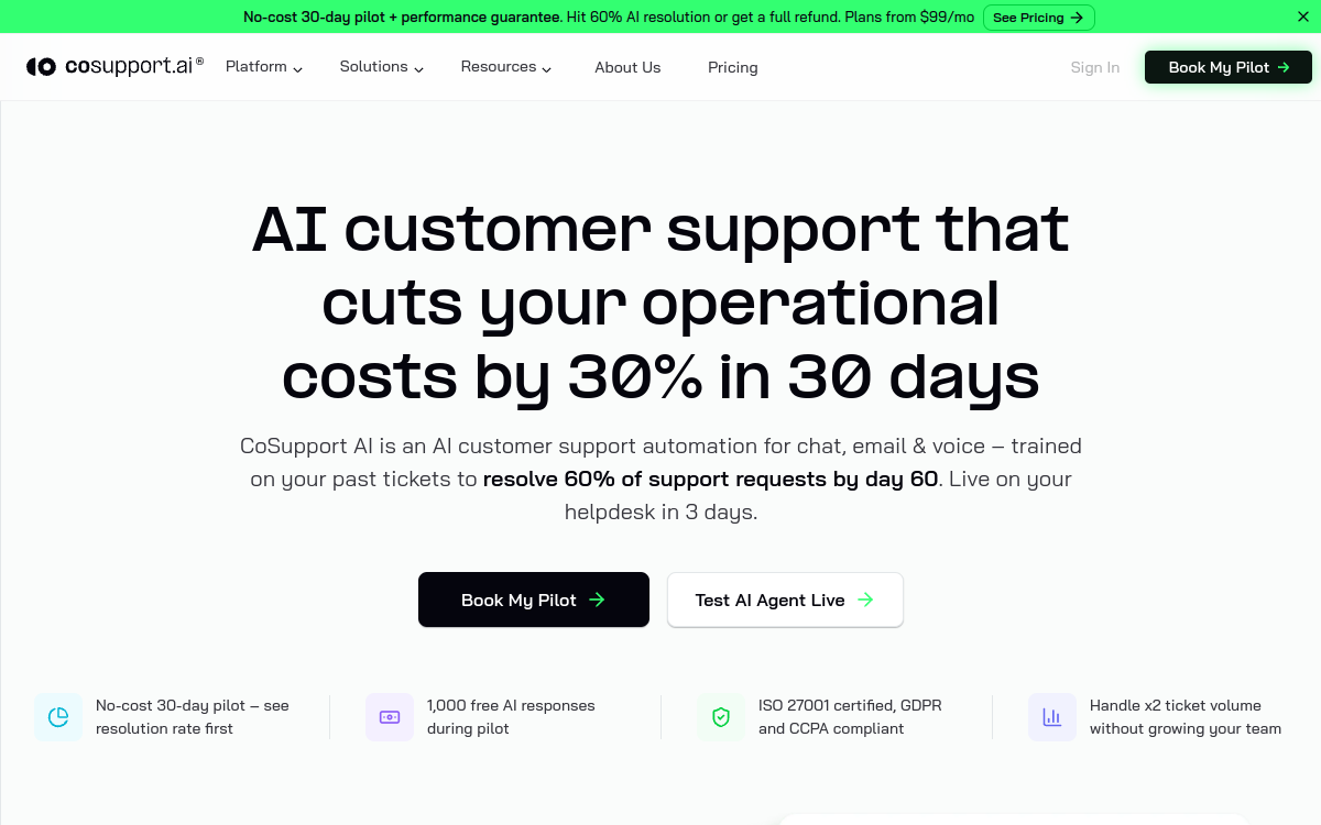 Captura de tela de CoSupport AI